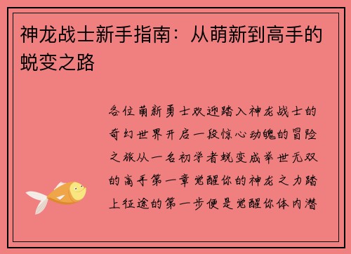 神龙战士新手指南：从萌新到高手的蜕变之路